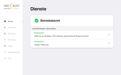Netikom - Customer Portal